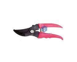 Flower Cutter